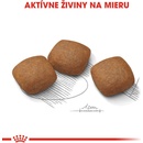 Royal canin Maxi Joint Care 10 kg