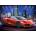 Castorland - Puzzle Arrinera Hussarya 33 - 300 piese