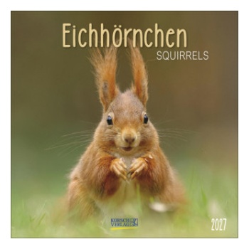Korsch Verlag GmbH Eichhörnchen 2027 | Korsch Verlag