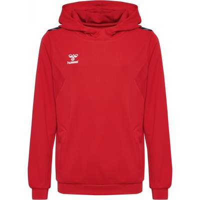 Hummel HML Authentic Pl Hoodie Kids 219977-3062