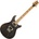 PRS Guitars SE Swamp Ash Special 2026 Charcoal Електрическа китара