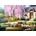 Anatolian - Puzzle Cherry Blossom Cottage - 1 000 piese
