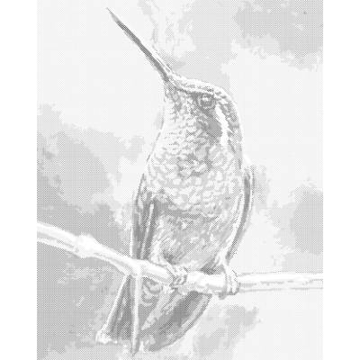 ZUTY Bodkovanie - KOLIBRÍK NA KONÁRI Rámovanie: bez rámu a bez vypnutia plátna, Rozmer: 40x50 cm