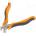 PG TOOLS PGT429