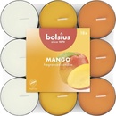 Bolsius Aromatic Mango 18 ks