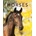 Horses | Kay de Silva