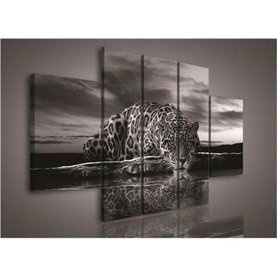 Obraz na plátne, rozmer 170 x 100 cm, jaguár, IMPOL TRADE 171S1