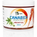 Masážní přípravky Dr.Cann Canabex konopné mazání hřejivý gel 250 ml