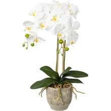 Umelá kvetina Orchidea biela v kvetináči, 55cm