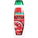 Šampóny Palmolive Naturals Brilliant Color šampón na farbené vlasy 350 ml