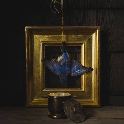 Claire Dickson - The Beholder (LP) (0798304530643)