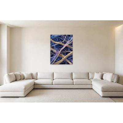 Obraz na plátně – Propletená mikroskopická vlákna 105 × 140 cm – Hledejceny.cz