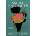 Smoke and Ashes: Opium and the Making of the Modern World | Ghosh, Amitav