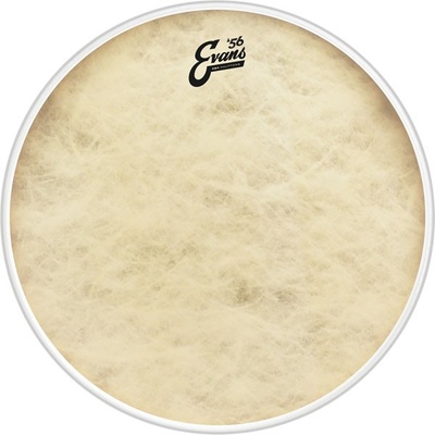Evans EQ4 ’56 Calftone 16” Tom TT16GB4CT