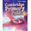 Cambridge Primary Path Level 4 Teacher's Edition