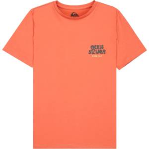 Quiksilver Детска тениска Quiksilver Kid's Fruits Tide S/S T-shirt - Desert Sand - размер 14 (US) (704-6115-0214)