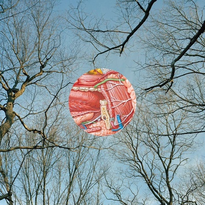 They Might Be Giants - Glean (Clear / Red Wisp Coloured) (LP) (738582016712)