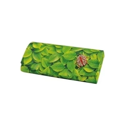 Royal Case pouzdro Albinex na dioptrické brýle s beruškou a hadříkem 80 141
