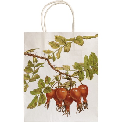 Dárková papírová taška Rosehip