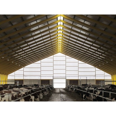 Stabilit Suisse Pamalite flat 4WQ 40 mm x 528 mm x 6000 mm UV čirá