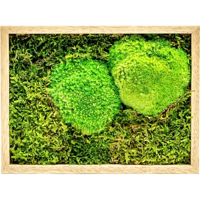Gardners Mechový obraz 13x18 cm kombinovaný mech kopečkový s plochým, přírodní