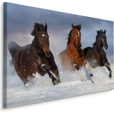 MyBestHome BOX Plátno Cválající Koně V Zimě Varianta: 90x60