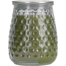 Greenleaf Silver Spruce 369 g