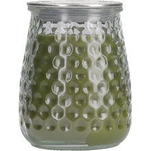 Greenleaf Silver Spruce 369 g