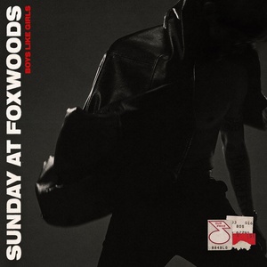 Universal Boys Like Girls: Sunday At Foxwoods - Vinyl (LP) (073863)