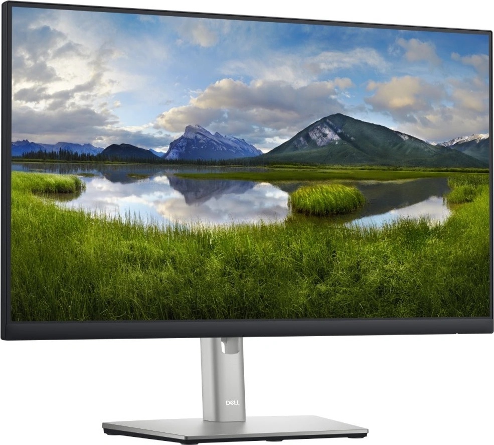 Dell P2422H