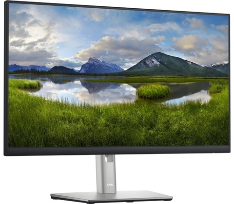 Dell P2422H