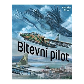 Bitevní pilot