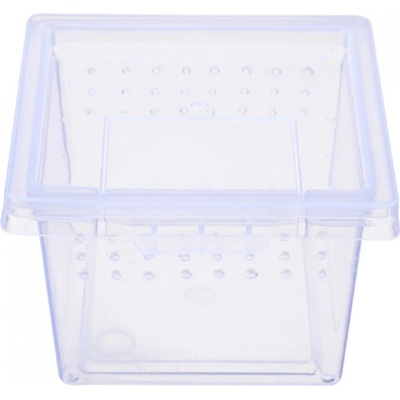 Terrario Insect Box Mini 6,5x6,5x4,5 cm