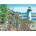 SunsOut - Puzzle Summer Rose Harbor - 1 000 piese