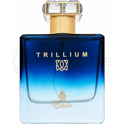 Emir Trillium parfumovaná voda pánska 100 ml