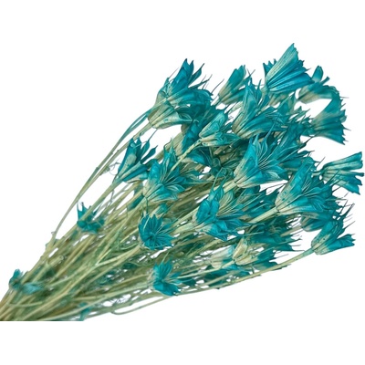 Sušené kvety Černuška - Nigella orientalis 80g - tyrkysové