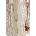 Marciano by Guess Рокля Marciano by Guess BRITNEY (5YGK14.7352A)