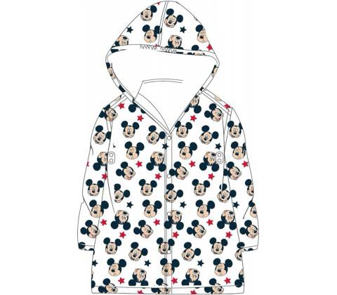 E plus M Mickey Mouse