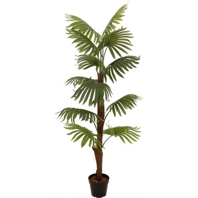 Umělá Vějířová palma, 155 cm