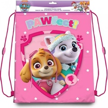 Euroswan Paw Patrol dievčatá 40cm