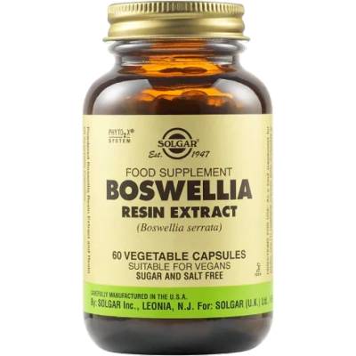Solgar Boswellia Resin Extract, 60 vegetable capsules
