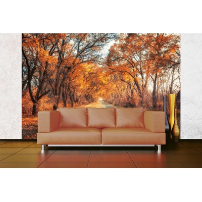 DIMEX ART Самозалепваща се флизелинова фототапета пътека по есенна алея 375 x 250 см