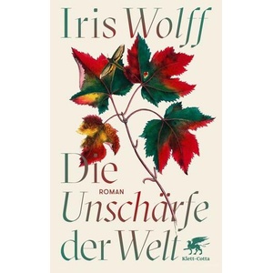 Die Unschärfe der Welt (ISBN: 9783608984866)