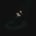 Nuttea - Tribulations LP