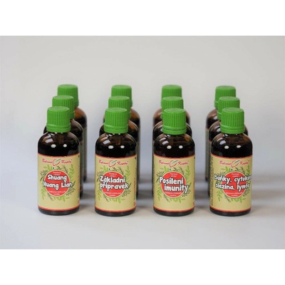 Netopýr max 2 kvapky tinktúra 12 x 50 ml