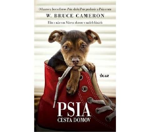 Psia cesta domov