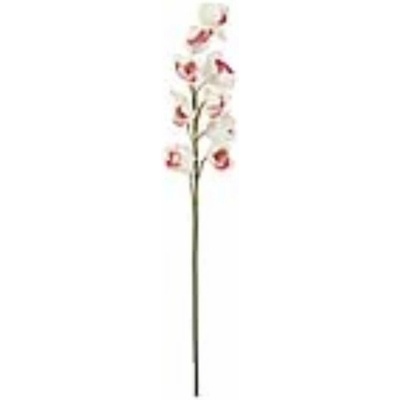 Orchidej větvička, bílo-růžová, 90 cm