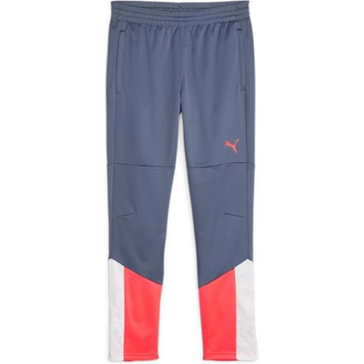 Puma individualCUP Training Pants Jr modrá