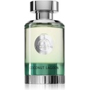 Paris Corner Coconut Lagoon EDP 100 ml