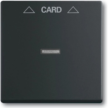 ABB Future linear 2CKA001710A3905